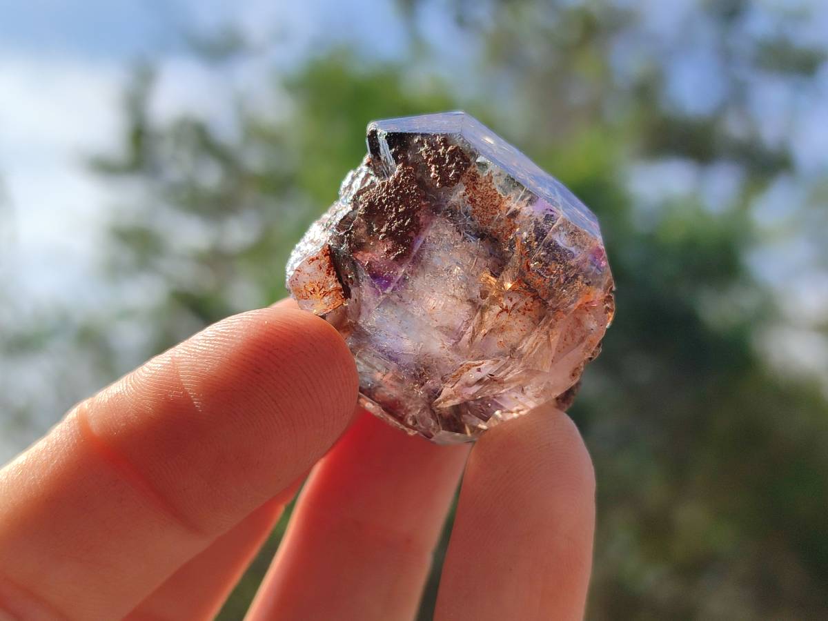Natural Window Amethyst Crystals x 20 From Chiredzi, Zimbabwe - Toprock Gemstones and Minerals 