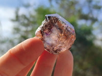 Natural Window Amethyst Crystals x 20 From Chiredzi, Zimbabwe