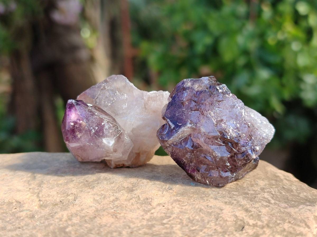 Natural Window Amethyst Crystals x 20 From Chiredzi, Zimbabwe - Toprock Gemstones and Minerals 