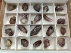 Natural Window Amethyst Crystals x 20 From Chiredzi, Zimbabwe - Toprock Gemstones and Minerals 