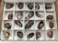 Natural Window Amethyst Crystals x 20 From Chiredzi, Zimbabwe