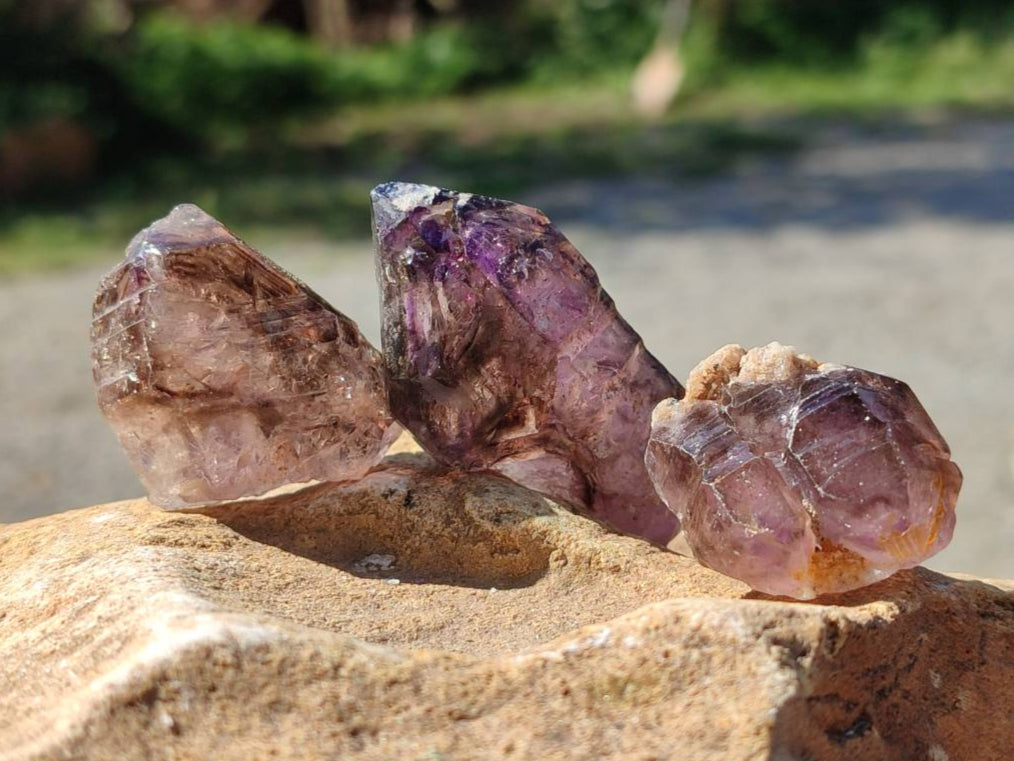 Natural Window Amethyst Crystals x 20 From Chiredzi, Zimbabwe - Toprock Gemstones and Minerals 