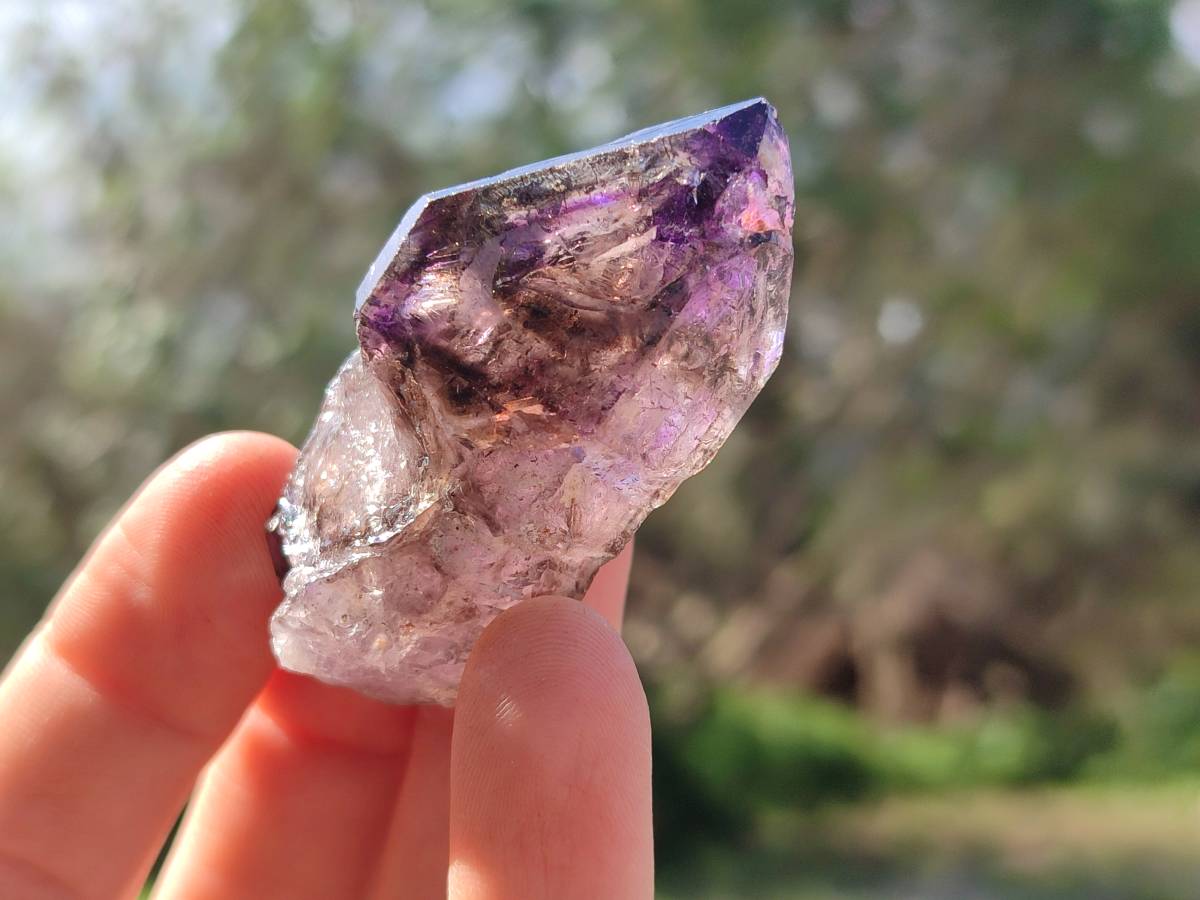 Natural Window Amethyst Crystals x 20 From Chiredzi, Zimbabwe - Toprock Gemstones and Minerals 