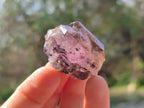 Natural Window Amethyst Crystals x 20 From Chiredzi, Zimbabwe - Toprock Gemstones and Minerals 