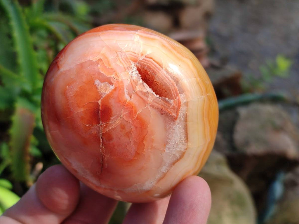 Polished Carnelian Agate Gemstone Galets x 12 From Madagascar - Toprock Gemstones and Minerals 