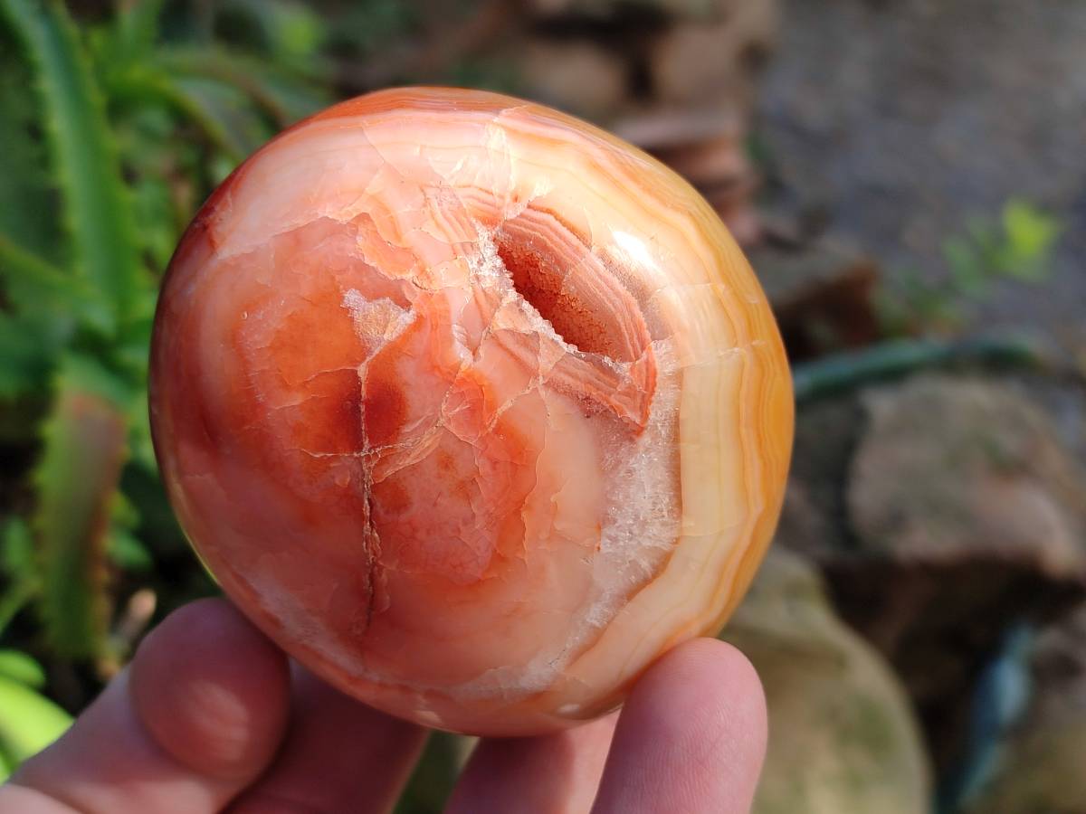 Polished Carnelian Agate Gemstone Galets x 12 From Madagascar - Toprock Gemstones and Minerals 