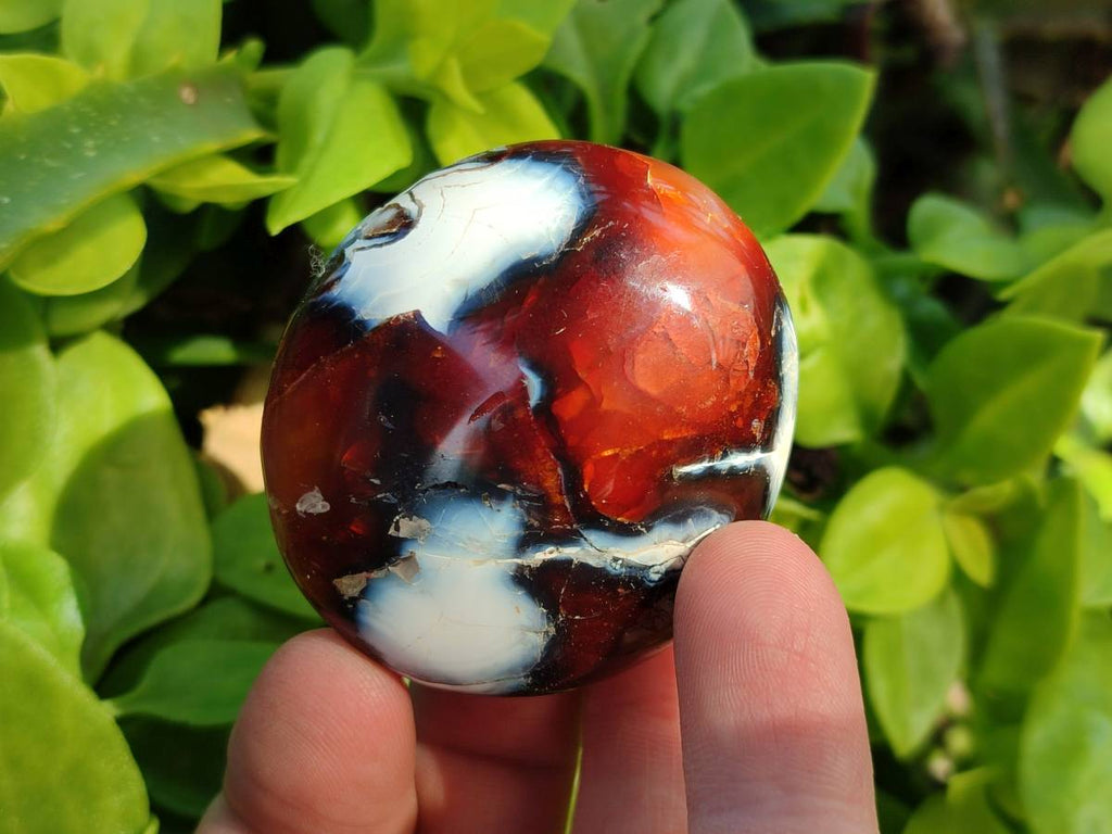 Polished Carnelian Agate Gemstone Galets x 12 From Madagascar - Toprock Gemstones and Minerals 