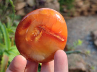 Polished Carnelian Agate Gemstone Galets x 12 From Madagascar