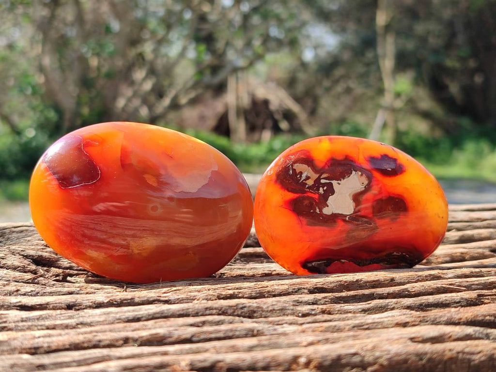 Polished Carnelian Agate Gemstone Galets x 12 From Madagascar - Toprock Gemstones and Minerals 