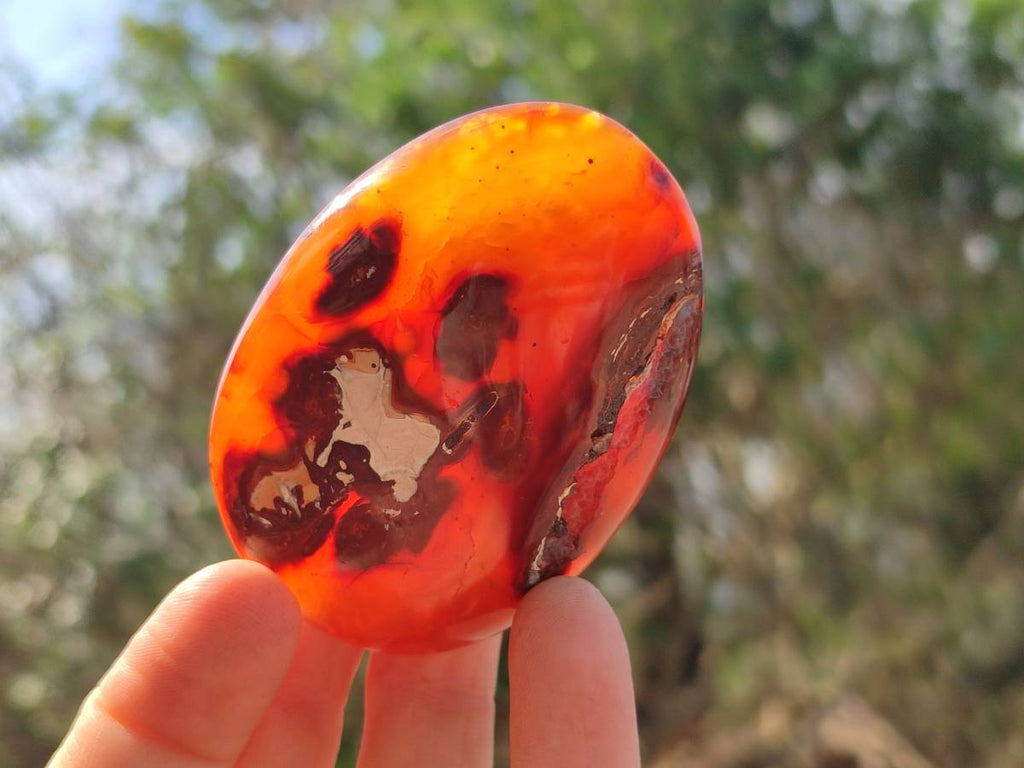 Polished Carnelian Agate Gemstone Galets x 12 From Madagascar - Toprock Gemstones and Minerals 