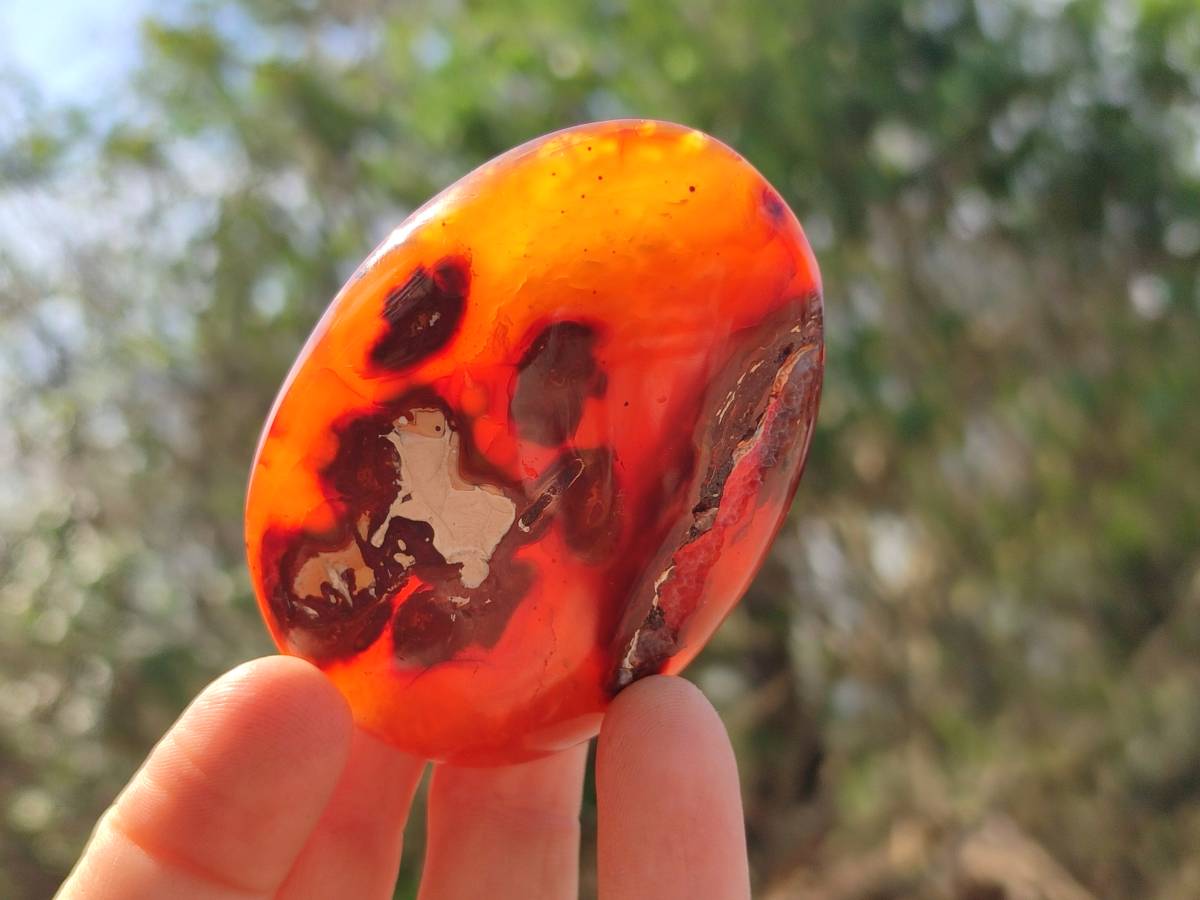 Polished Carnelian Agate Gemstone Galets x 12 From Madagascar - Toprock Gemstones and Minerals 