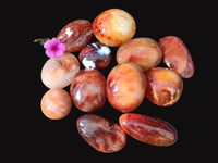 Polished Carnelian Agate Gemstone Galets x 12 From Madagascar