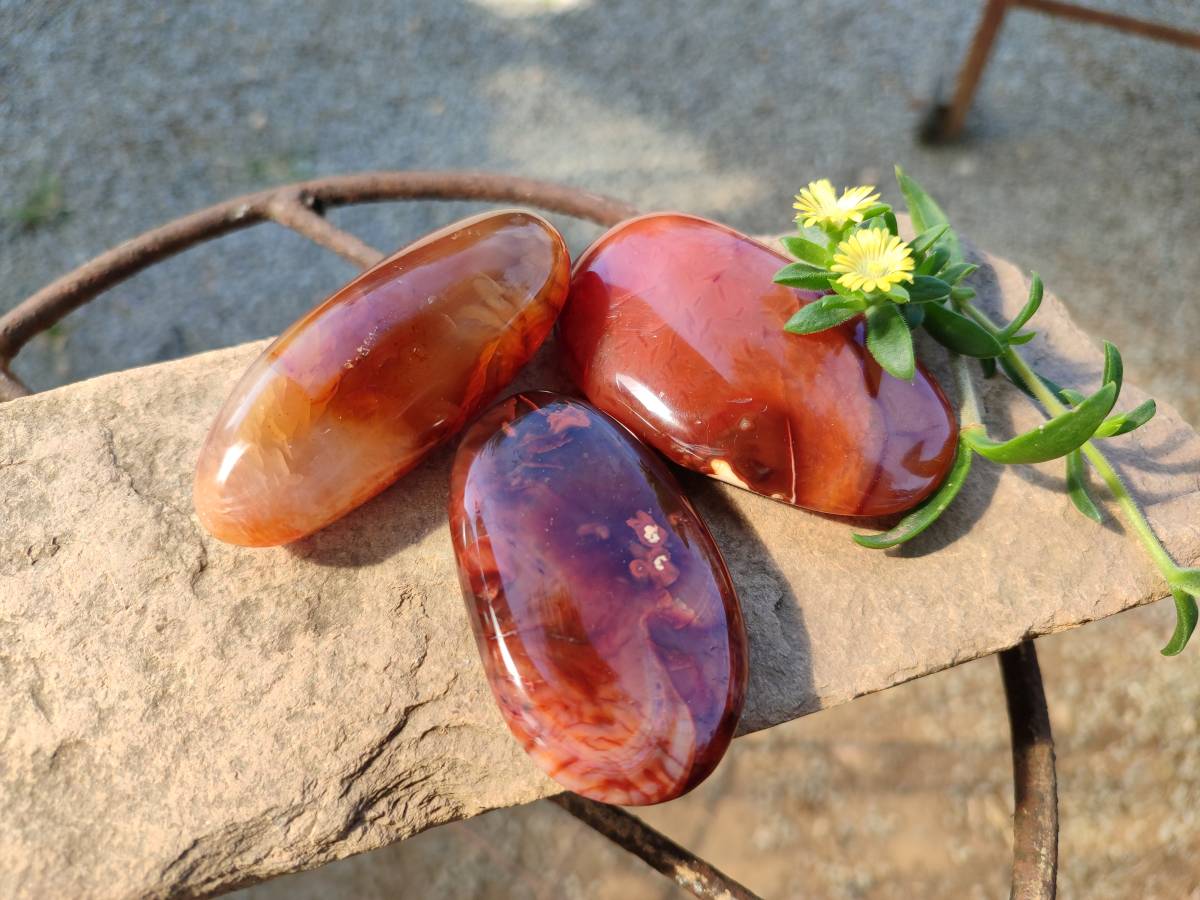 Polished Carnelian Agate Gemstone Galets x 12 From Madagascar - Toprock Gemstones and Minerals 
