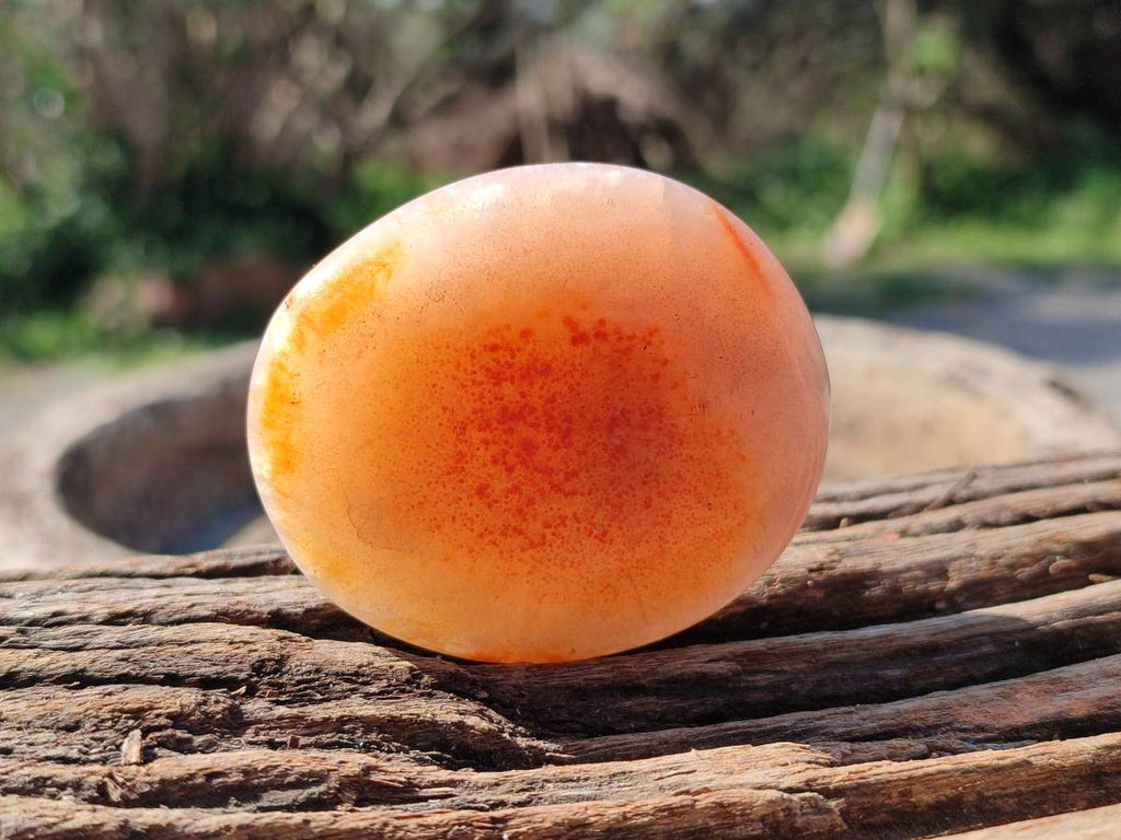 Polished Carnelian Agate Gemstone Galets x 12 From Madagascar - Toprock Gemstones and Minerals 