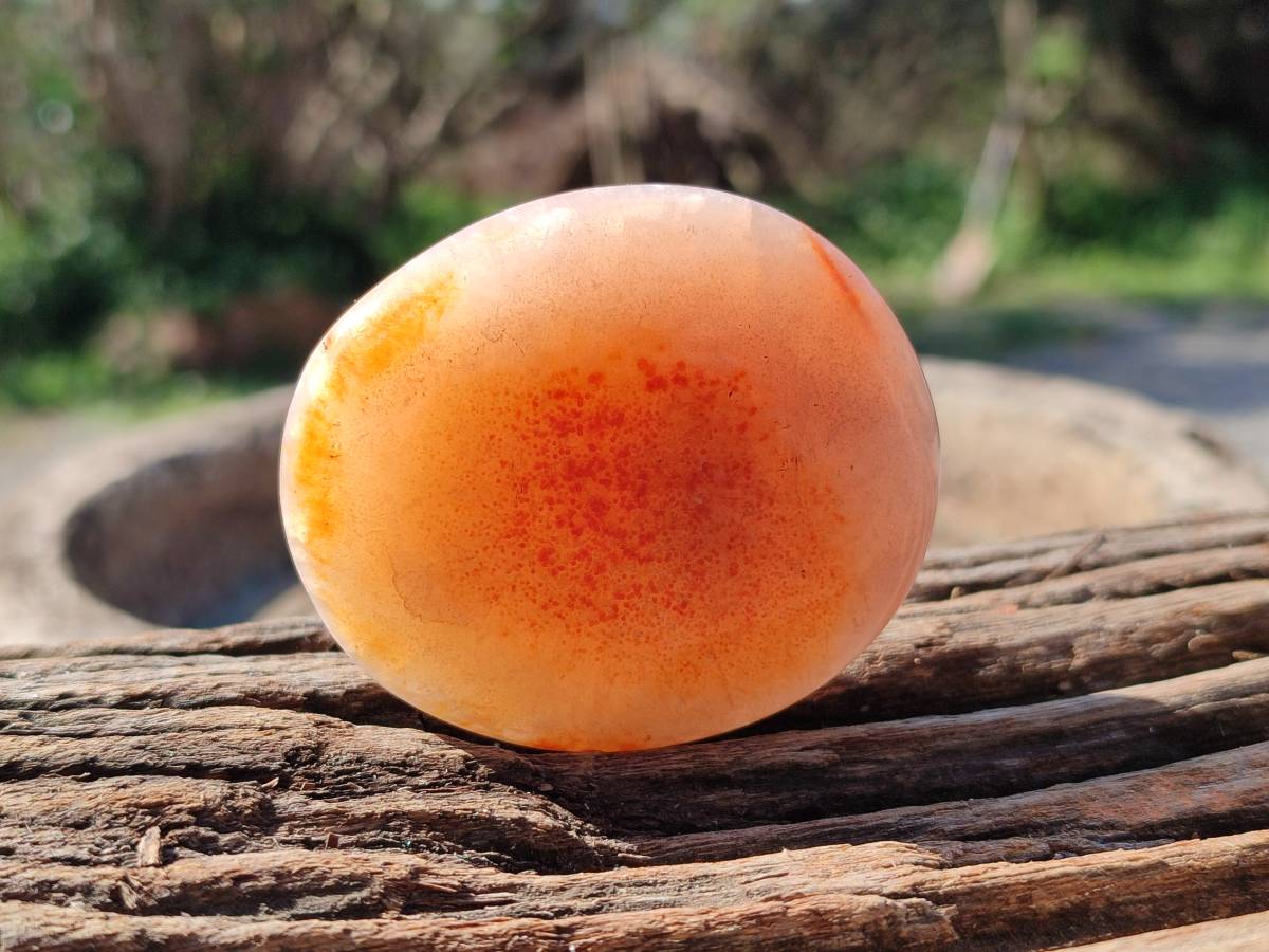 Polished Carnelian Agate Gemstone Galets x 12 From Madagascar - Toprock Gemstones and Minerals 