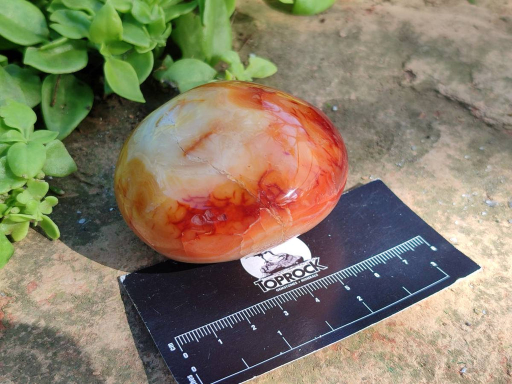 Polished Carnelian Agate Gemstone Galets x 12 From Madagascar - Toprock Gemstones and Minerals 