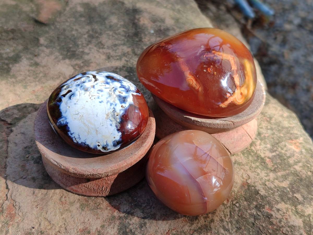 Polished Carnelian Agate Gemstone Galets x 12 From Madagascar - Toprock Gemstones and Minerals 