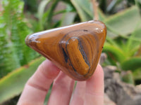 Polished Golden Tiger's Eye Free Forms x 6 From Prieska, South Africa