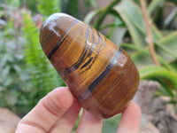 Polished Golden Tiger's Eye Free Forms x 6 From Prieska, South Africa
