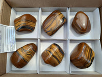 Polished Golden Tiger's Eye Free Forms x 6 From Prieska, South Africa