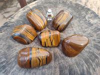 Polished Golden Tiger's Eye Free Forms x 6 From Prieska, South Africa