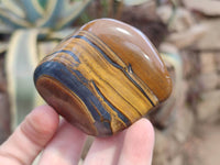 Polished Golden Tiger's Eye Free Forms x 6 From Prieska, South Africa