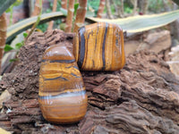Polished Golden Tiger's Eye Free Forms x 6 From Prieska, South Africa