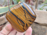 Polished Golden Tiger's Eye Free Forms x 6 From Prieska, South Africa