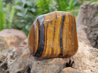 Polished Golden Tiger's Eye Free Forms x 6 From Prieska, South Africa