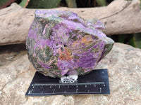 Natural Stichtite Specimens x 3 From Barberton, South Africa