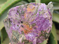 Natural Stichtite Specimens x 3 From Barberton, South Africa