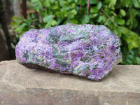 Natural Stichtite Specimens x 3 From Barberton, South Africa