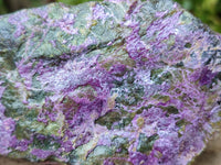 Natural Stichtite Specimens x 3 From Barberton, South Africa