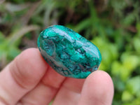 Polished Dioptase Free Forms x 20 From Likasi, Congo