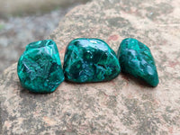 Polished Dioptase Free Forms x 20 From Likasi, Congo