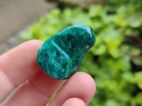 Polished Dioptase Free Forms x 20 From Likasi, Congo