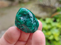 Polished Dioptase Free Forms x 20 From Likasi, Congo