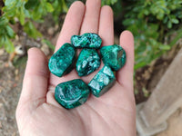 Polished Dioptase Free Forms x 20 From Likasi, Congo