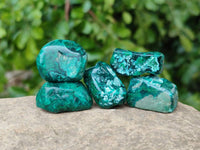 Polished Dioptase Free Forms x 20 From Likasi, Congo