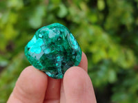 Polished Dioptase Free Forms x 20 From Likasi, Congo