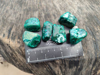 Polished Dioptase Free Forms x 20 From Likasi, Congo