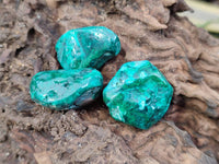 Polished Dioptase Free Forms x 20 From Likasi, Congo