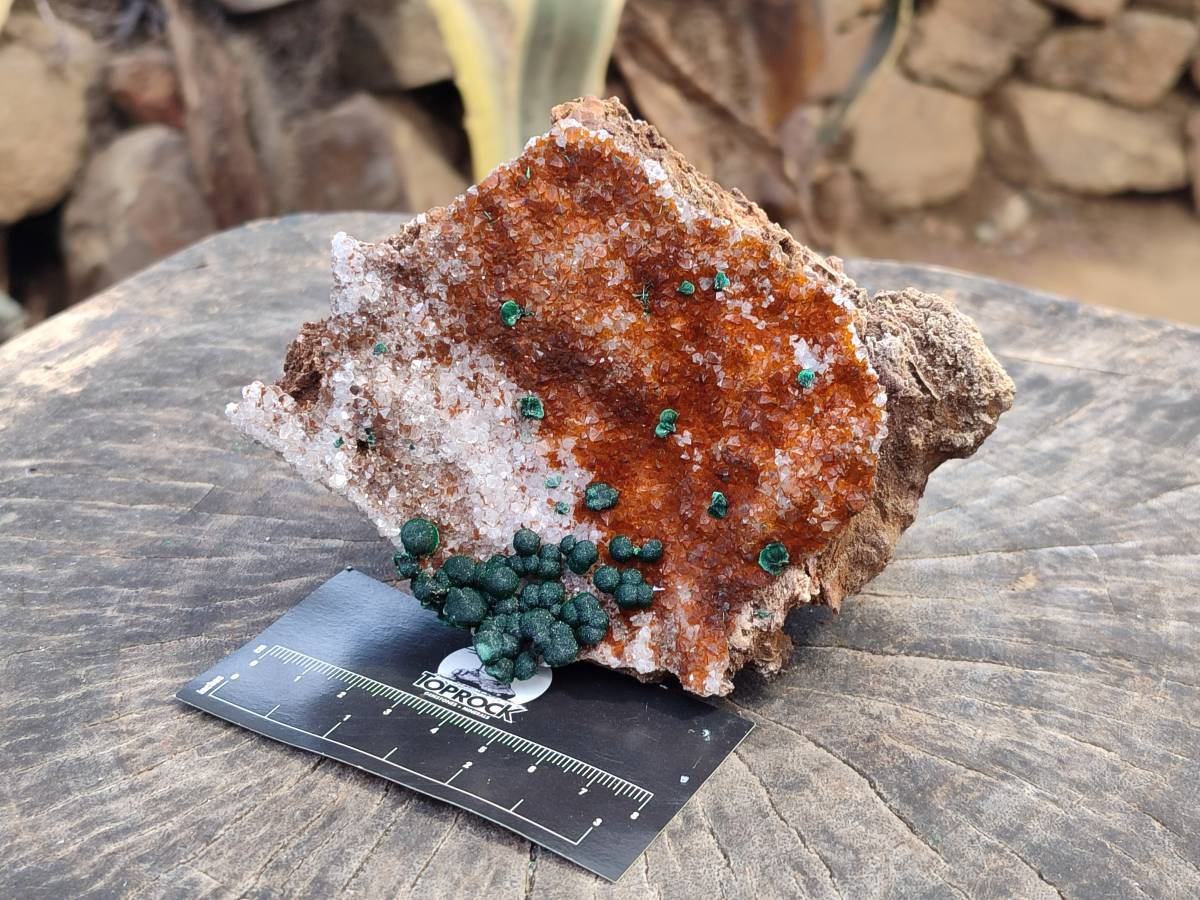 Natural Ball Malachite and Drusy Quartz On Dolomite Matrix Specimens x 2 From Kambove, Congo - Toprock Gemstones and Minerals 