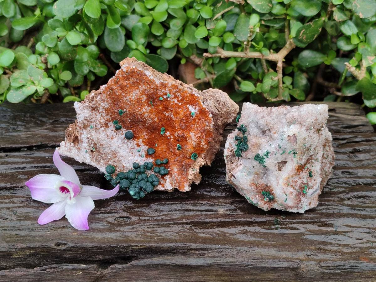 WEB TEMPLATE - MALACHITE QUARTZ MINDINGI MINE KAMBOVE CONGO - Toprock Gemstones and Minerals 