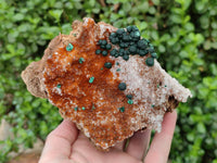 Natural Ball Malachite and Drusy Quartz On Dolomite Matrix Specimens x 2 From Kambove, Congo