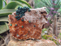 Natural Ball Malachite and Drusy Quartz On Dolomite Matrix Specimens x 2 From Kambove, Congo