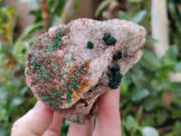 Natural Ball Malachite and Drusy Quartz On Dolomite Matrix Specimens x 2 From Kambove, Congo