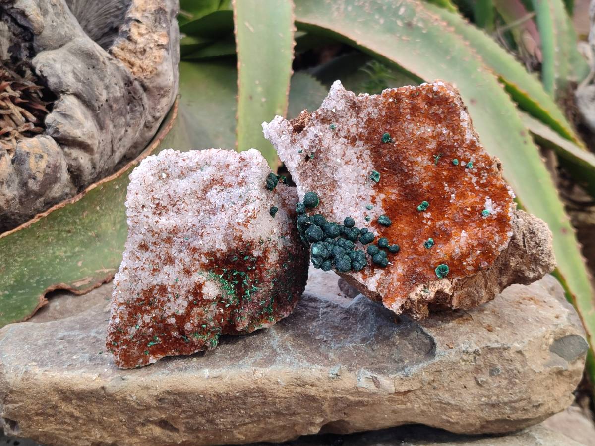 Natural Ball Malachite and Drusy Quartz On Dolomite Matrix Specimens x 2 From Kambove, Congo - Toprock Gemstones and Minerals 