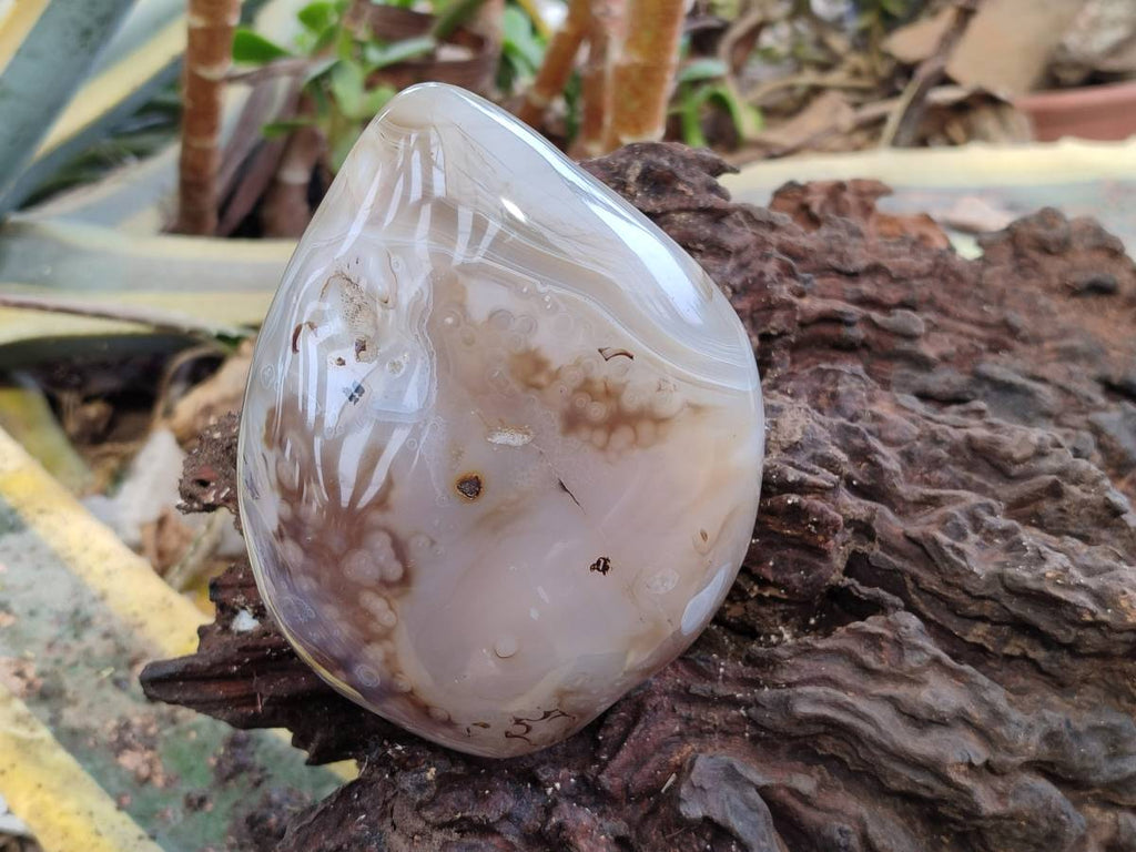 Polished Agate Standing Free Forms x 1 From West Coast, Madagascar - Toprock Gemstones and Minerals 