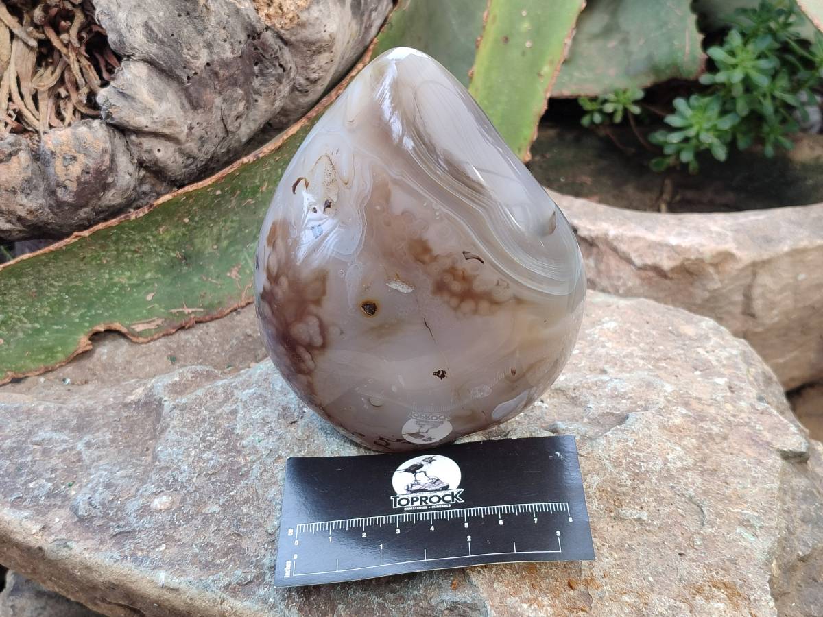 Polished Agate Standing Free Forms x 1 From West Coast, Madagascar - Toprock Gemstones and Minerals 